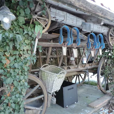 Apartament Am Burgberg *