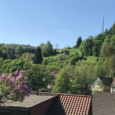 Am Burgberg Daire *