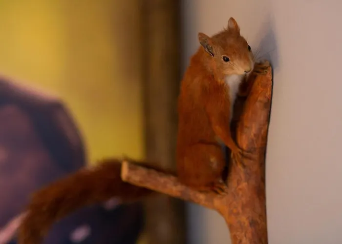 Lägenhet Am Burgberg *